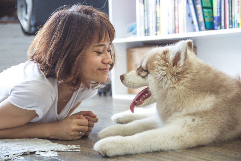 動物溝通