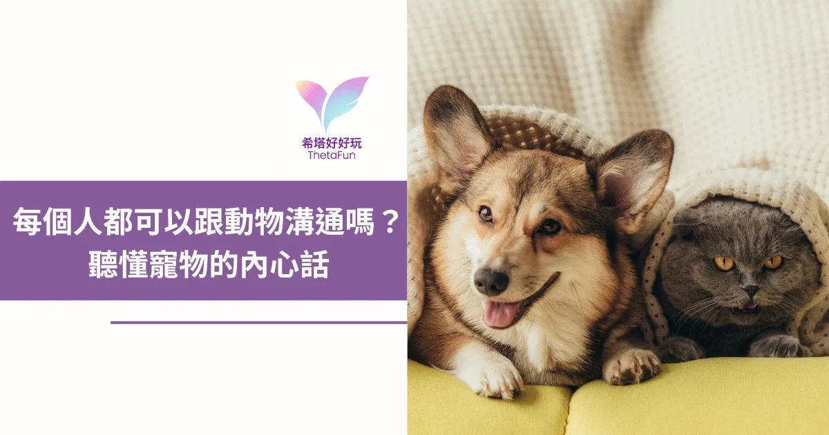 每個人都可以跟動物溝通嗎？希塔療癒寵物溝通入門與 3 個小撇步