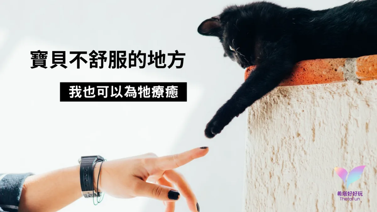 與寵物溝通