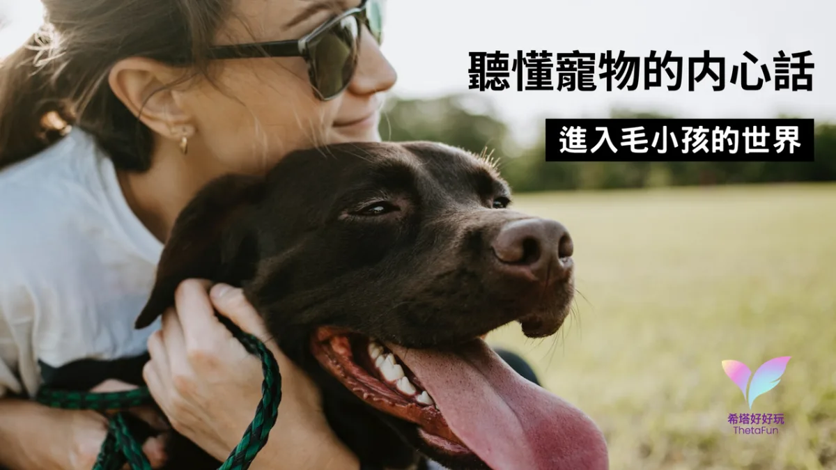 希塔療癒動物溝通:與毛小孩連結