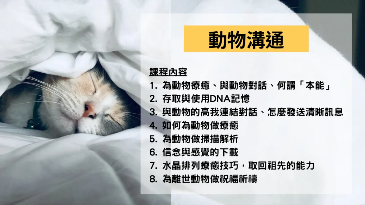 寵物溝通的小撇步